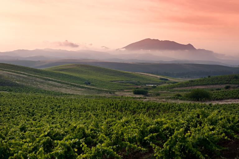 10 Wilayah Wine Terbaik di Seluruh Dunia
