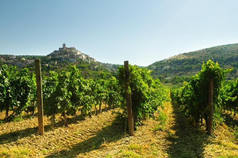 世界の価値あるワイン生産地トップ10