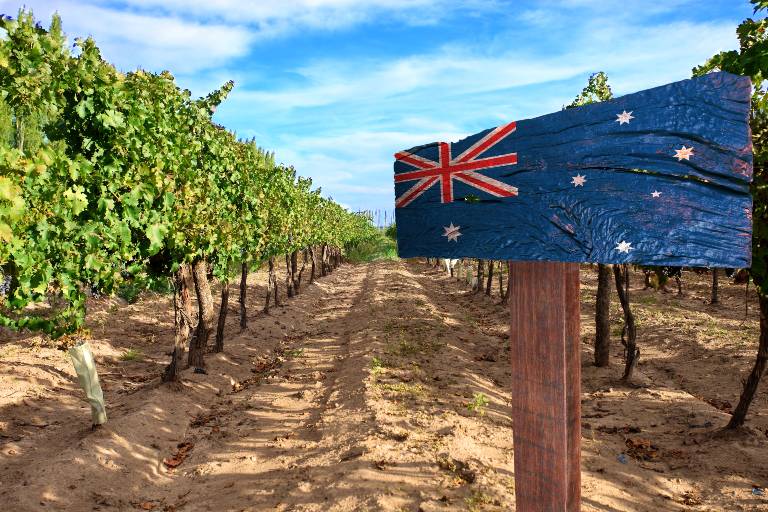 호주 와인에 반덤핑 관세를 부과하는 중국 – 어떤 영향을 미칠까요?