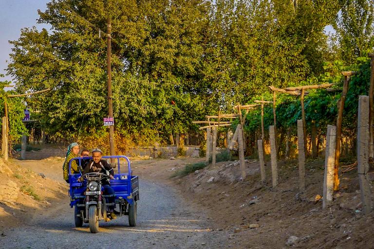 Wine Producing Regions of China, A Group of Rising Stars