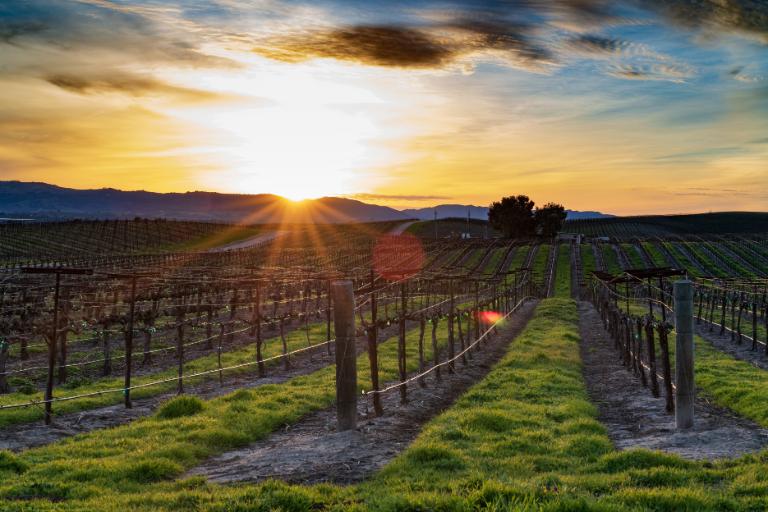 10 Best Value Wine Regions Around the World