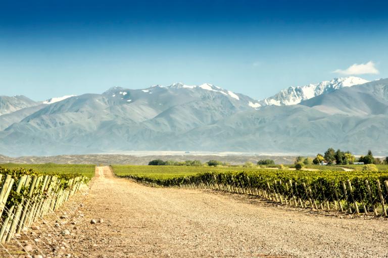 10 Best Value Wine Regions Around the World