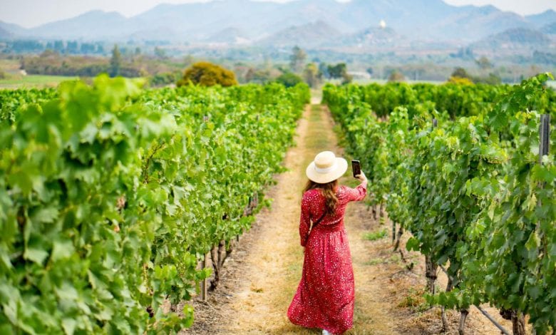 Thailand Wine Regions & Wine Map