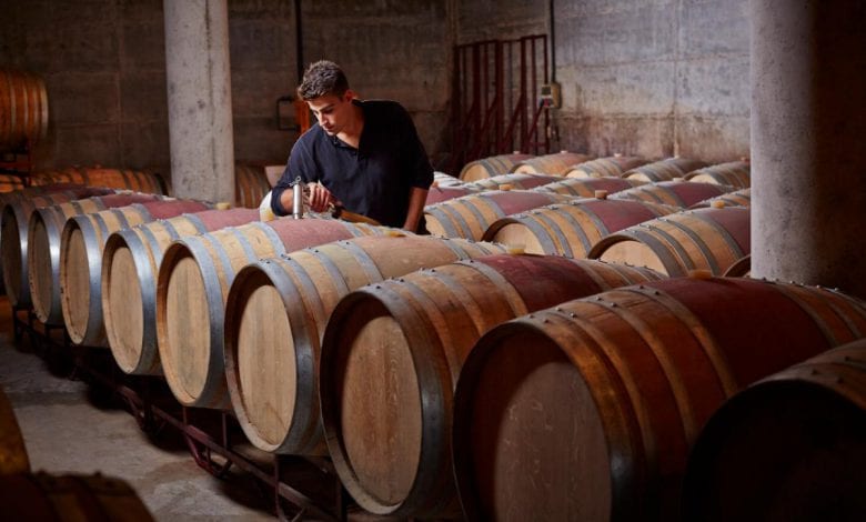 How Covid-19 Will Affect the 2020 Vintage - Overview by Country