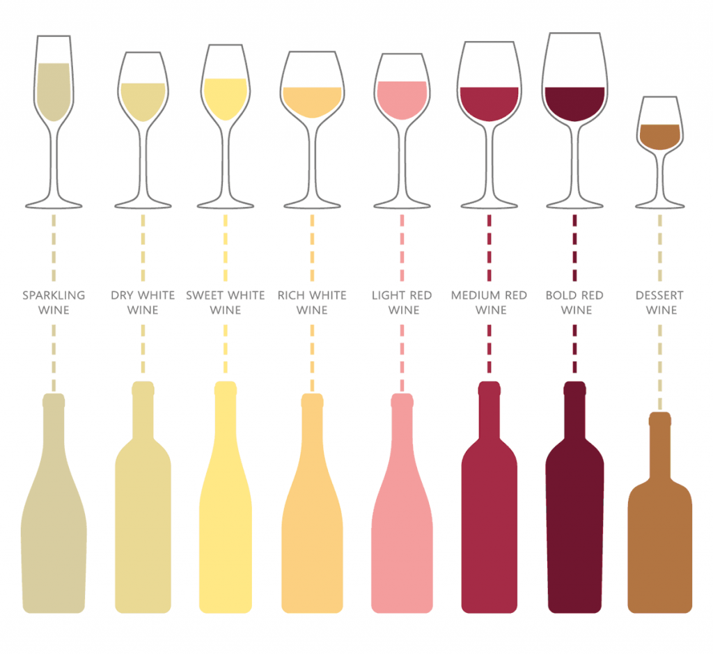 Wine Glasses Guide