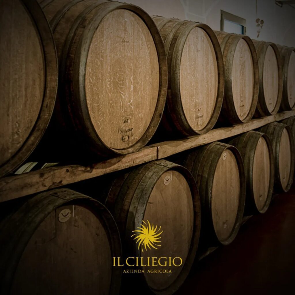 Deciphering the Italian Wine Classification System to Better Understand Your Il Ciliegio Wine Label
