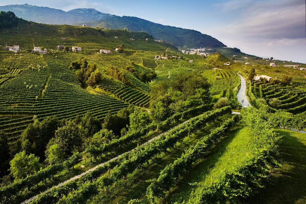 探索薇拉圣地酒庄:为假日挑选几款优质起泡酒吧!