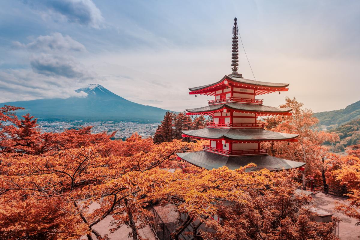 일본 와인 산업의 내부