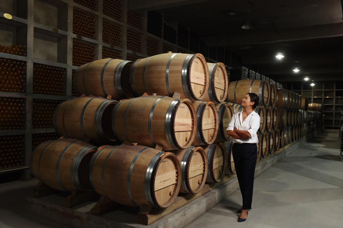 Memperkenalkan 10 Kilang Wine Terbaik China